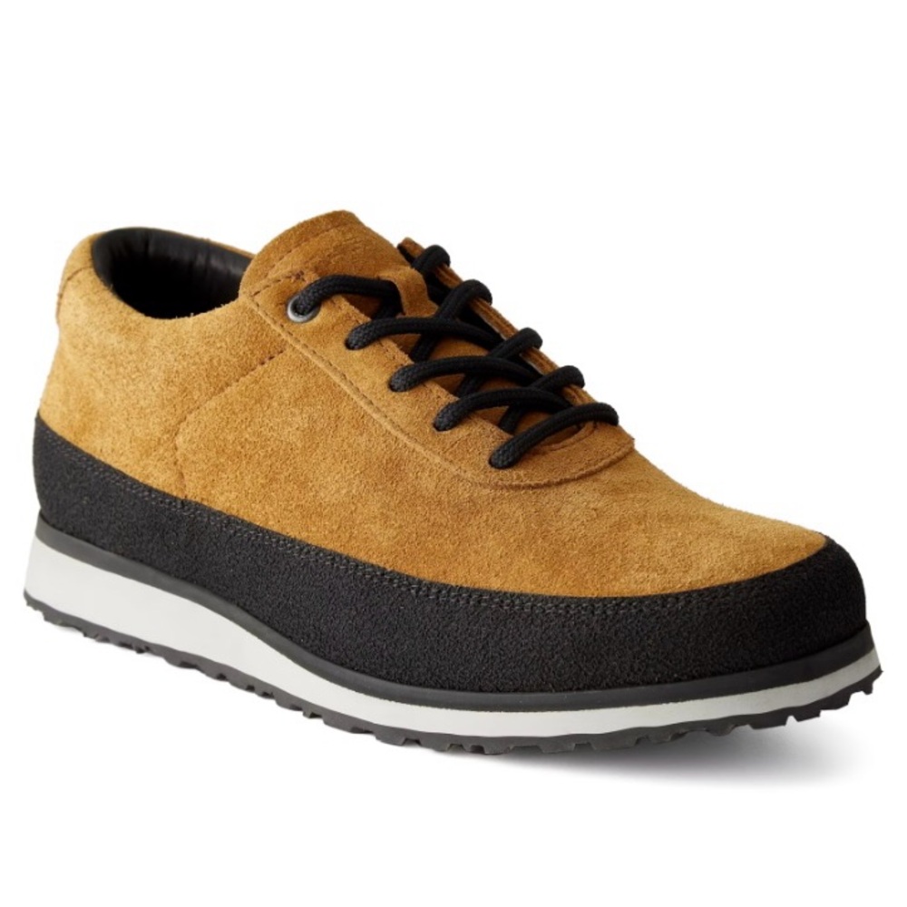 Tarvas Explorer Shoes - New